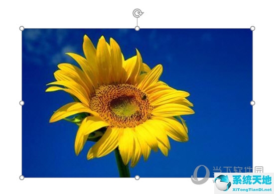 ppt里如何抠图(ppt怎么抠图 操作简单一看就会变色)