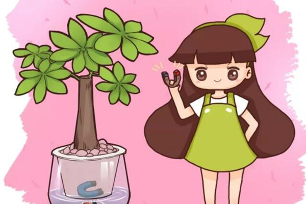 水里丢点它根比萝卜还粗黄叶全没了！(水里长的大叶子植物)