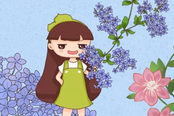 夏天就养这6种花1个月就爬墙连窗帘都省了！(什么花适合夏天室内养)