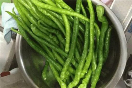 辣椒用醋和水的比例是多少