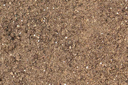 红花满天星盆栽怎么养好看