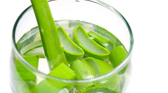 盆栽的芦荟怎样施肥