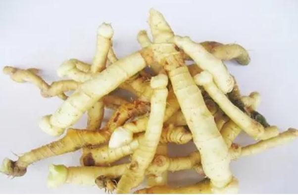 鲜玉竹怎么处理