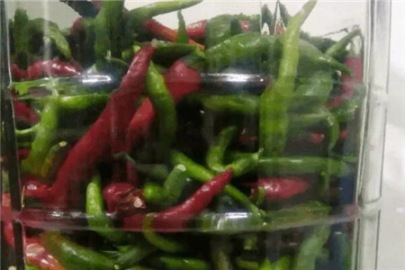 辣椒用醋和水的比例是多少