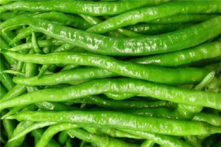 辣椒用醋和水的比例是多少