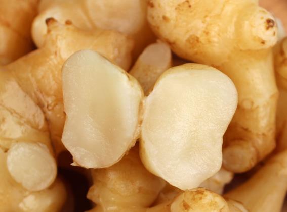 洋姜是发物吗痛风患者可以吃洋姜吗(洋姜属于寒性食品吗)