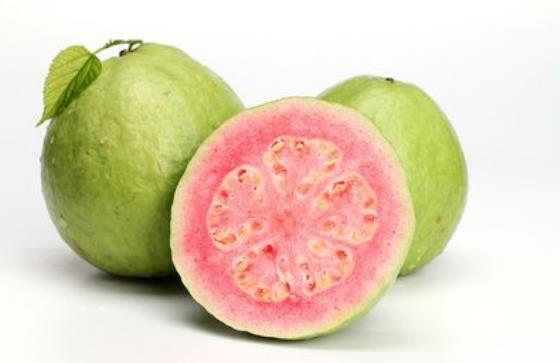 番石榴解中药吗