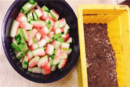 恐龙闯进磨磨蹭蹭镇