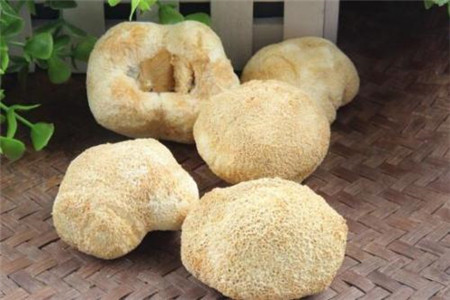 干猴头菇如何泡发