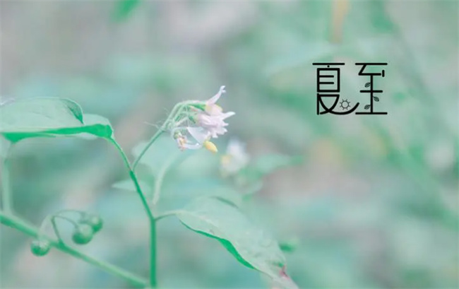 节气中的夏至是什么意思