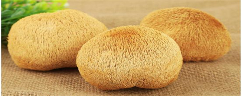 干猴头菇怎么泡发最好干猴头菇一般泡多久(干猴头菇如何泡发)