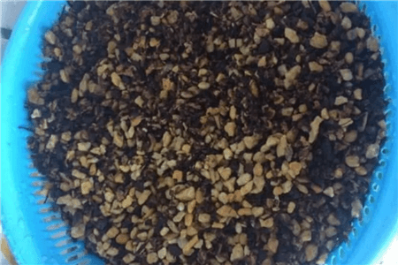 恐龙闯进磨磨蹭蹭镇