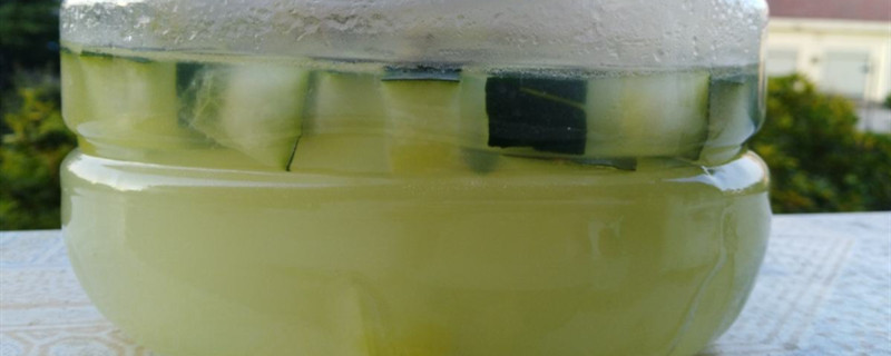 淘米水浇花需发酵多久怎么发酵才不臭(淘米水浇花用不用发酵)