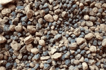 恐龙闯进磨磨蹭蹭镇