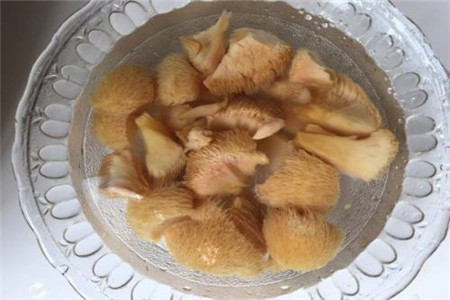 干猴头菇如何泡发