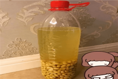 恐龙闯进磨磨蹭蹭镇