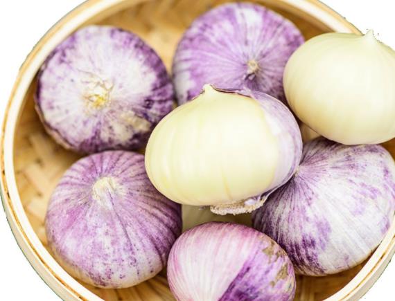 吃大蒜过敏是什么症状图片