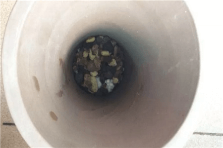 恐龙闯进磨磨蹭蹭镇