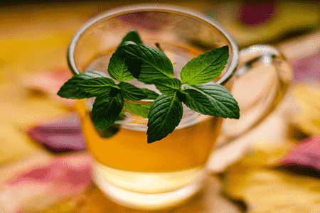 薄荷叶的功效与作用吃法