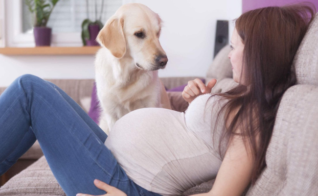 怎么知道已经着床了 着床成功后最早的症状看你中了没