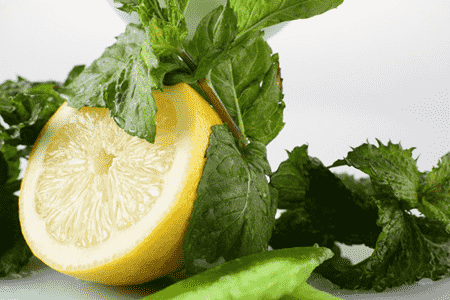 薄荷叶的功效与作用吃法