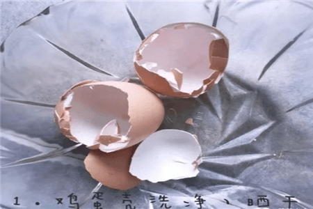 恐龙闯进磨磨蹭蹭镇