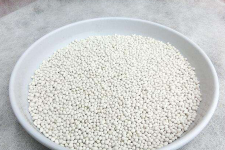 铁兰花什么时间分株好