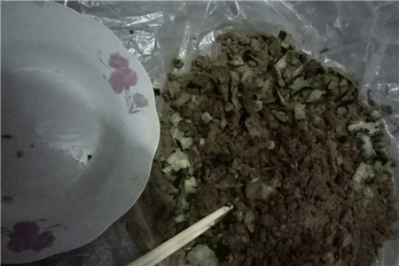 恐龙闯进磨磨蹭蹭镇