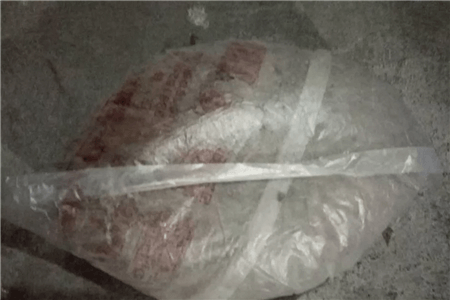 恐龙闯进磨磨蹭蹭镇