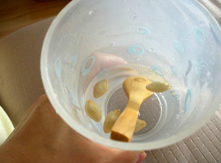 西葫芦花盆种植