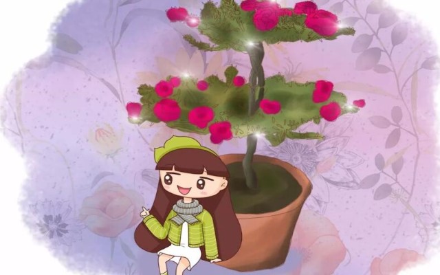 这5种花半个月不浇水就成老桩身价直翻10倍！(半个月不浇水花会死吗)