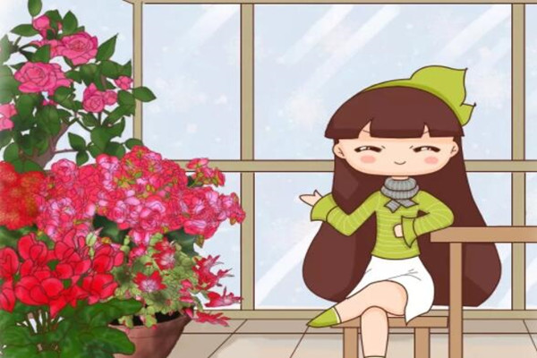 2019最火的过年花摆家里特有面儿你不养一盆(过年家里摆花寓意)