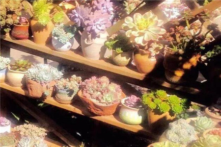 在一回首间才忽然发现原来我一生的种种努力