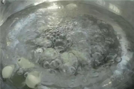 大蒜根生白蛆用什么药