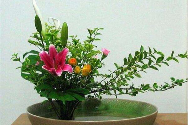 插花技巧大集合(插花技巧新手入门)