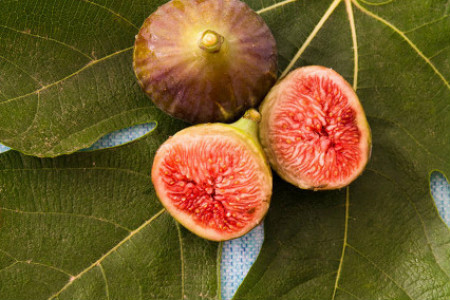 无花果果实什么时候成熟