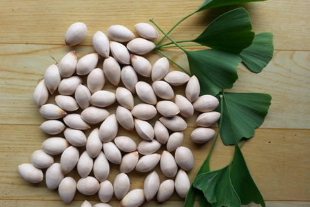 银杏种子的种植方法和时间图片