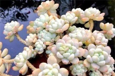 在一回首间才忽然发现原来我一生的种种努力