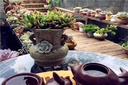 在一回首间才忽然发现原来我一生的种种努力