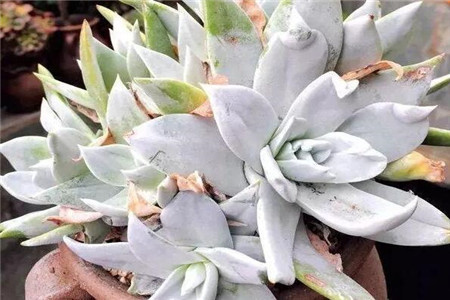 在一回首间才忽然发现原来我一生的种种努力