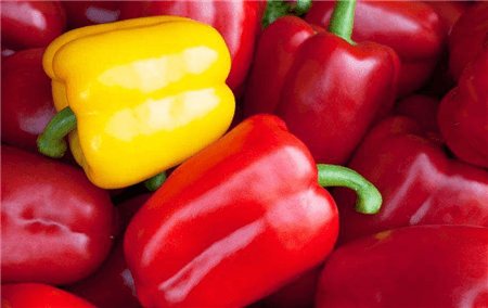 甜椒放冰箱能保存多久