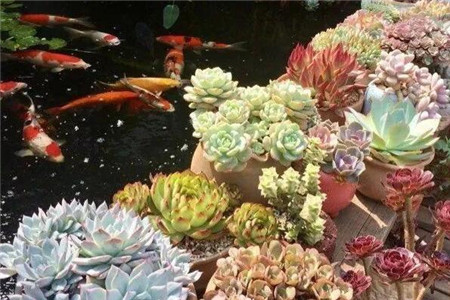 在一回首间才忽然发现原来我一生的种种努力