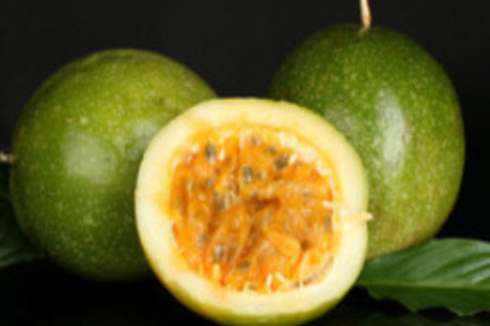 百香果要把种子嚼烂么