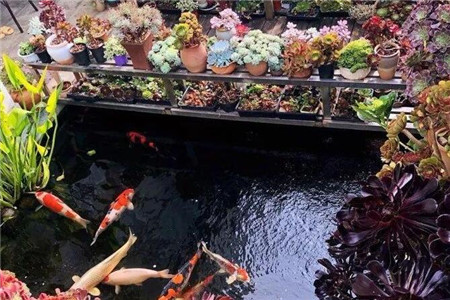 在一回首间才忽然发现原来我一生的种种努力