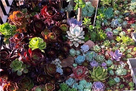 在一回首间才忽然发现原来我一生的种种努力