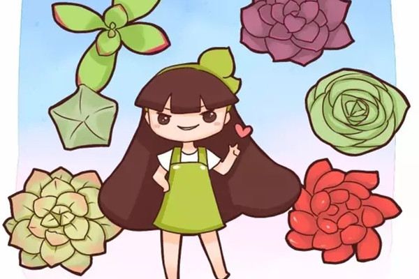 这些多肉,种1盆就福气满满,又萌又吉祥(多肉种植大全)