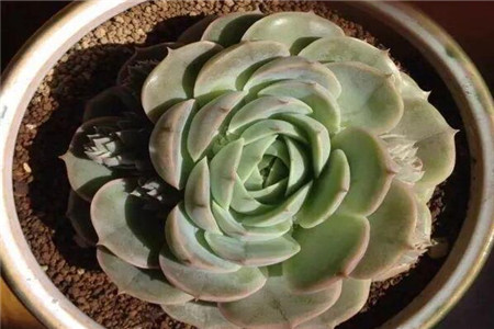 在一回首间才忽然发现原来我一生的种种努力