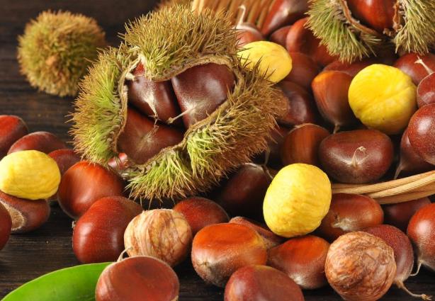 出芽的板栗还能吃吗