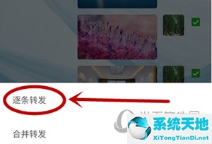 如何在微信批量发送图片(手机微信怎么批量发送图片)