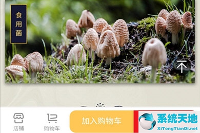 云闪付付款方法(云闪付付款步骤)